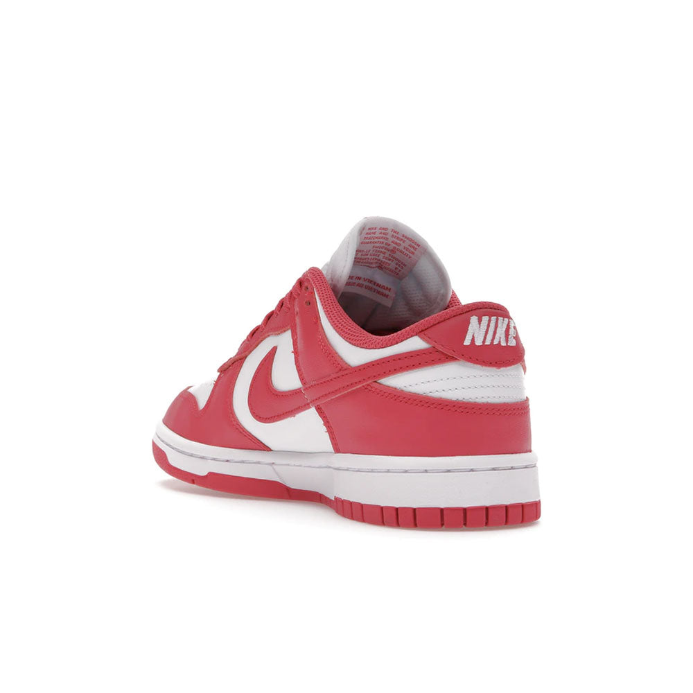 Nike Dunk Low Archeo Pink (W)