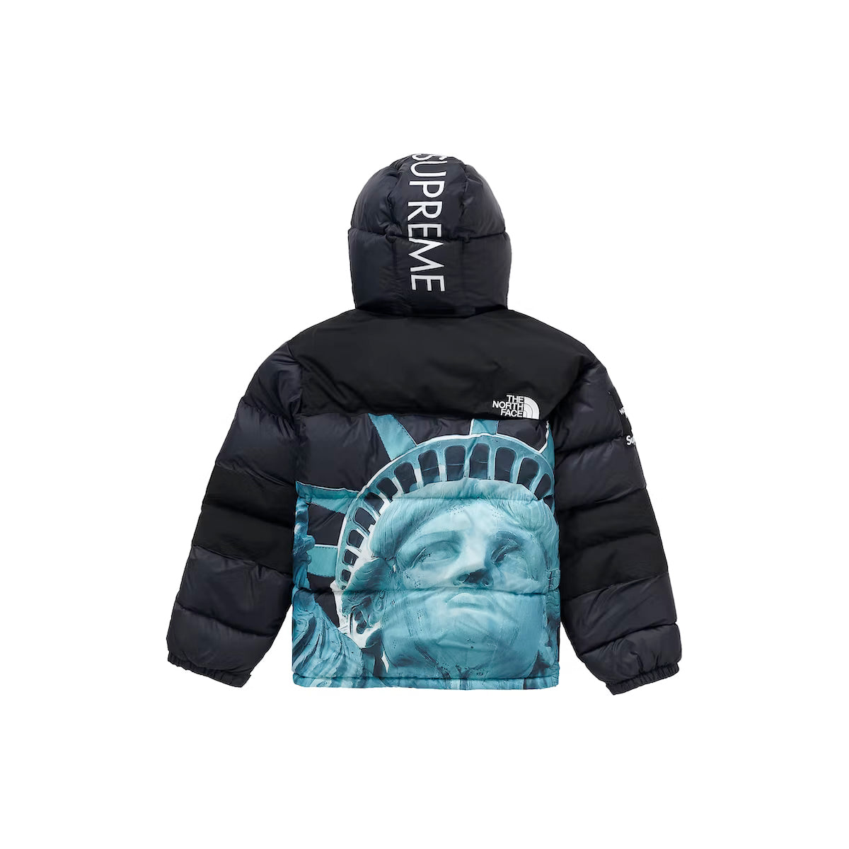 Supreme The North Face Statue of Liberty Baltoro Jacket - Black