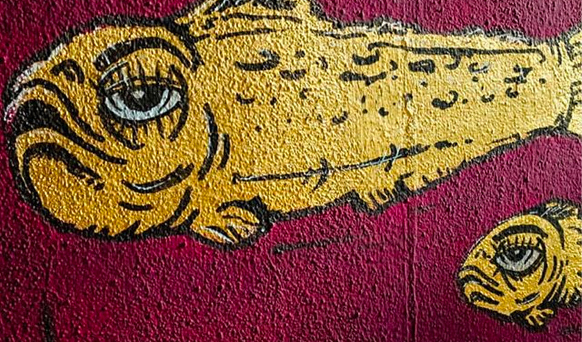 Rodeos Kidding for #maisenza