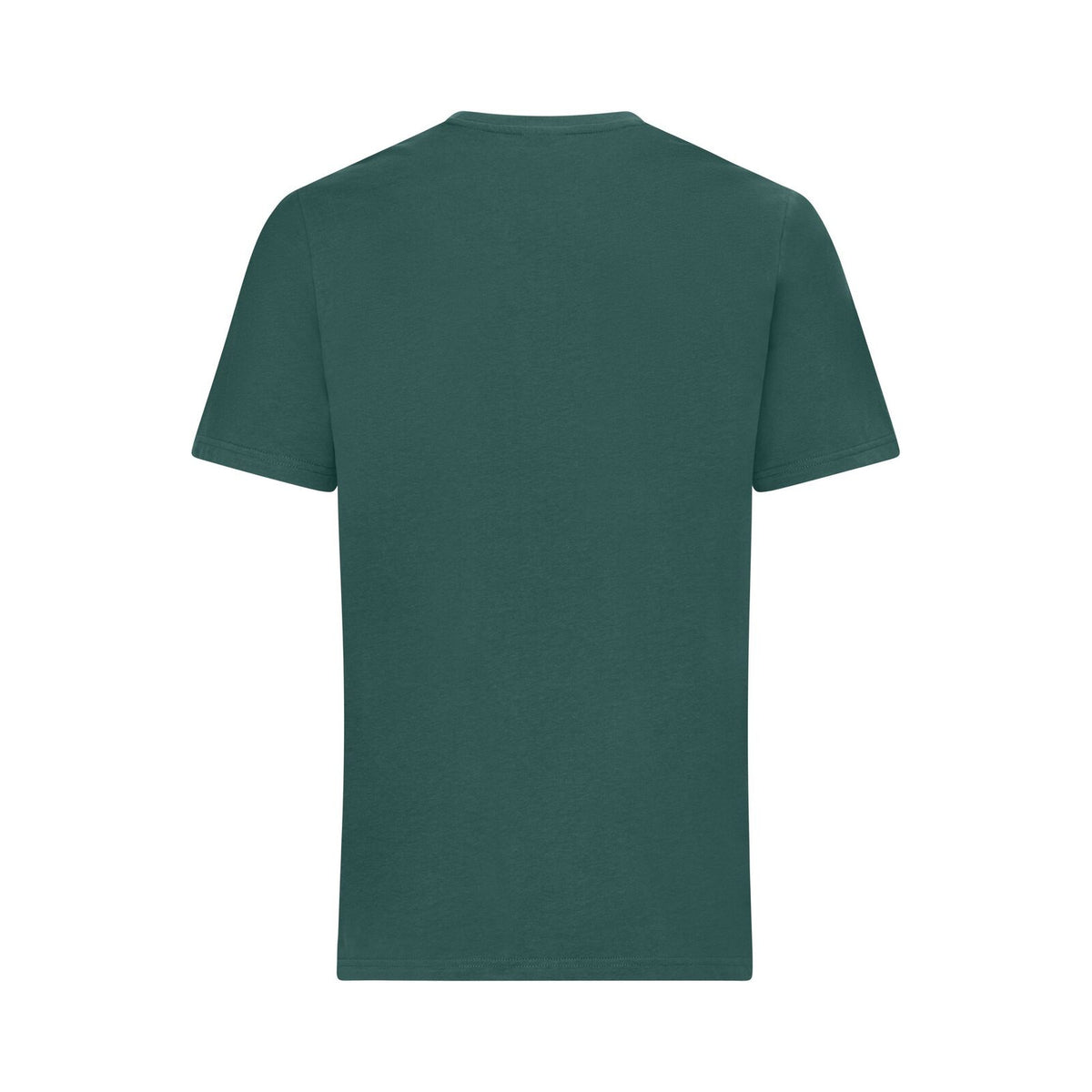 Striped tee Verde fumo/Sabbia - retro